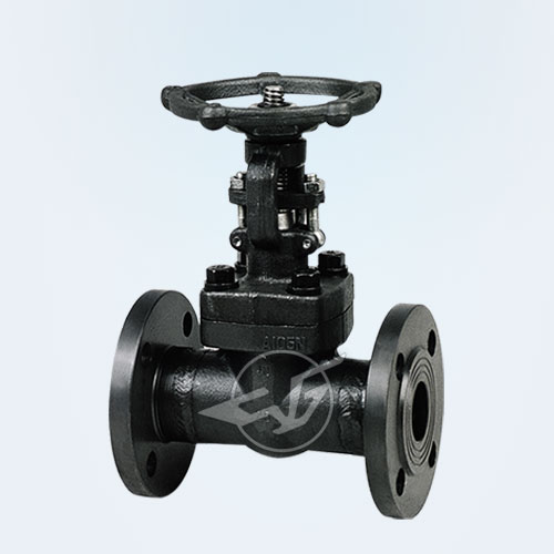 GB forged steel flange valve 