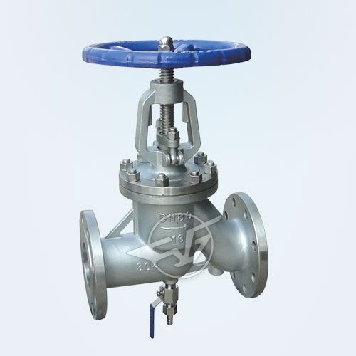 Stainless steel antibiotic globe valve