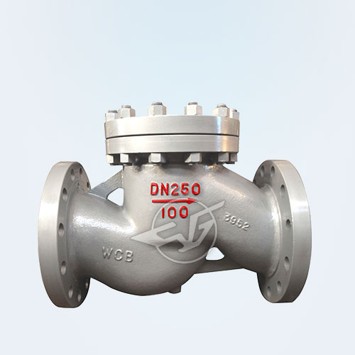 National standard lift check valve