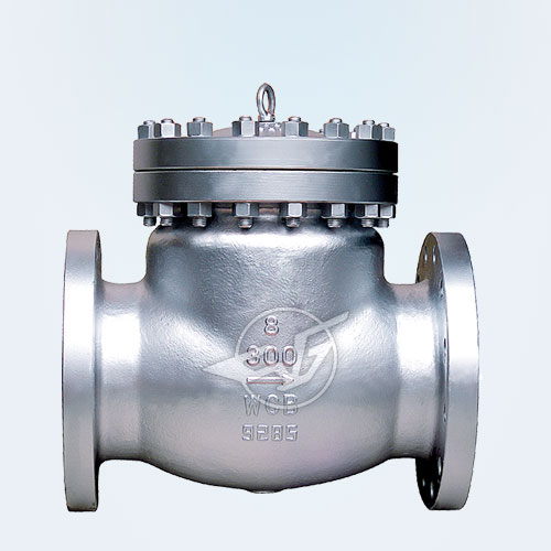 American standard spin check valve